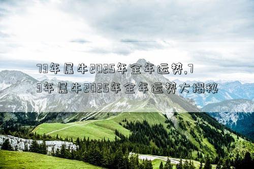 73年属牛2025年全年运势,73年属牛2025年全年运势大揭秘