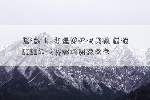 属猴2025年运势好吗男孩 属猴2025年运势好吗男孩名字
