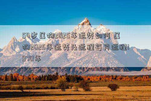 54岁属狗2025年运势如何 属狗2025年运势及运程每月运程1970年