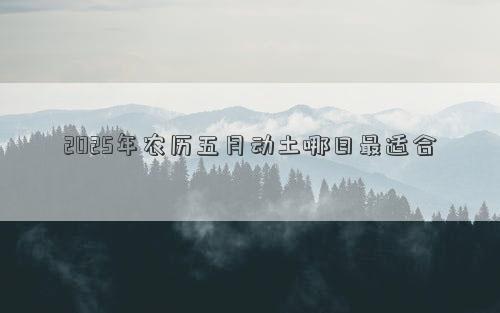 2025年农历五月动土哪日最适合
