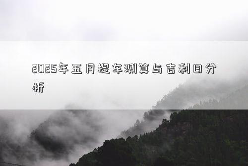 2025年五月提车测算与吉利日分析
