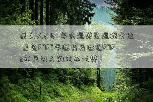 属兔人2025年的运势及运程女性 属兔2025年运势及运程2025年属兔人的全年运势