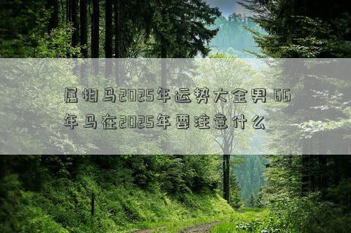 属相马2025年运势大全男 66年马在2025年要注意什么
