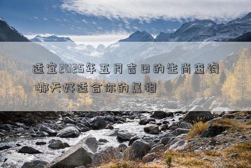 适宜2025年五月吉日的生肖查询 哪天好适合你的属相