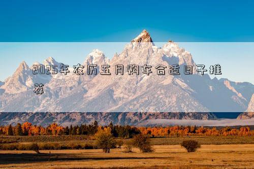 2025年农历五月购车合适日子推荐