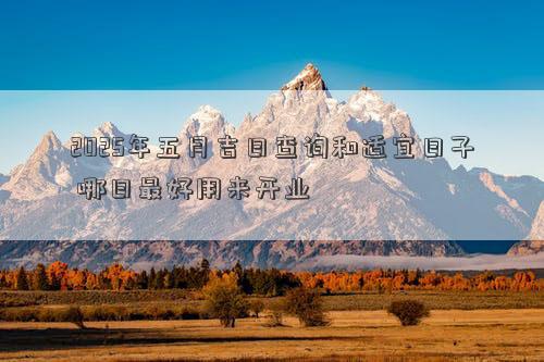 2025年五月吉日查询和适宜日子 哪日最好用来开业