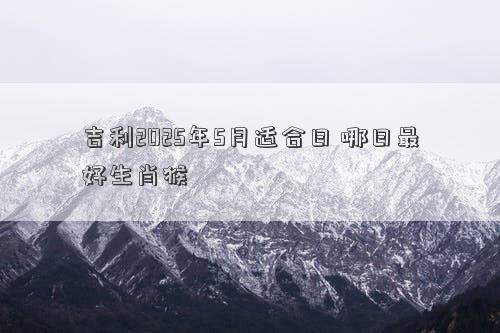 吉利2025年5月适合日 哪日最好生肖猴