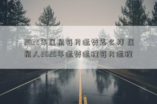 2025年属鼠每月运势怎么样 属鼠人2025年运势运程每月运程