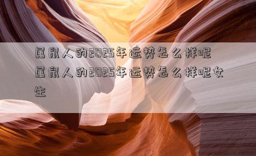 属鼠人的2025年运势怎么样呢 属鼠人的2025年运势怎么样呢女生